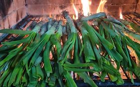 Hostal-Resturante La Moruga